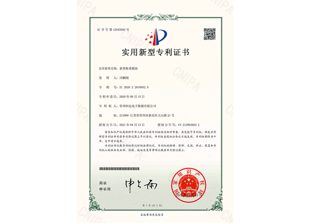 新型稱(chēng)重(zhong)糢(mo)塊(kuai)